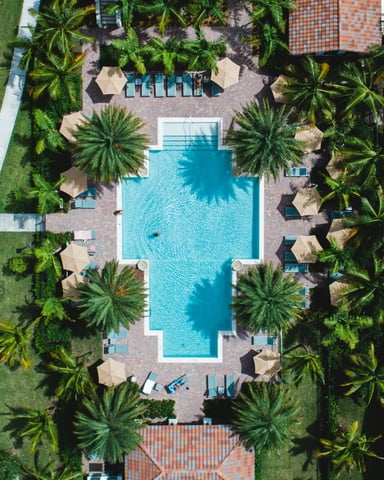 Tropical resort pool with lounge chairs and palm trees on a sunny day