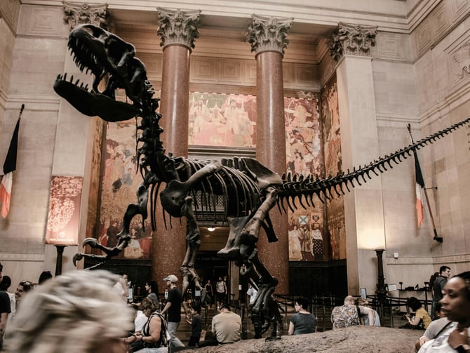 T-Rex skeleton in a grand museum hall with visitors
