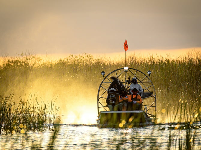 Airboat speeding through golden-lit wetlands at dusk