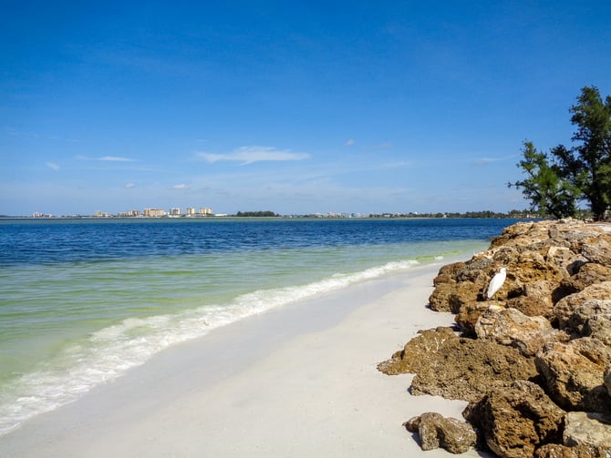 White sand and clear green water with rocky shoreline under a blue sky