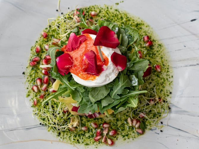 Burrata salad with pesto, tomatoes and microgreens on a white plate