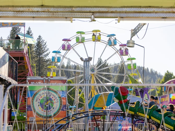 Colorful fairground with ferris wheel and pine trees