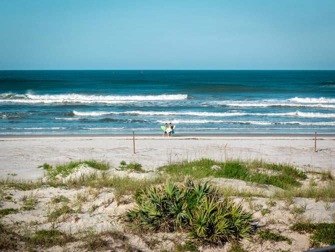 Surfers with boards on the sand, coastal dunes and sea oats in the foreground