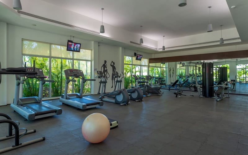 Alta Area gym