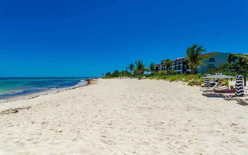 Alta Area beach expanse