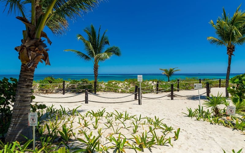 Alta Area beach